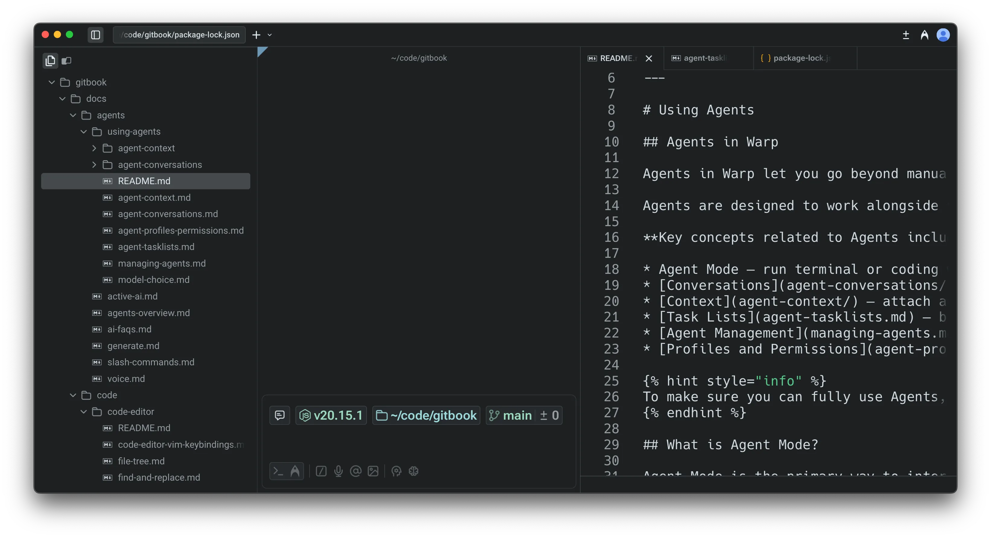 Warp's native file tree showing the project's file and folder structure in the left panel.